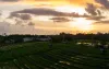 Canggu, Indonesia: Das Leben als Digitaler Nomade und tägliche Abenteuer unkompliziert gemacht