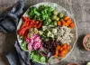 Plant-Based Nutritionist: Das Leben im digitalen Nomaden-Karriereumfeld