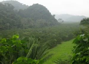 Belmopan, Belize: Visum für digitale Nomaden, Leben und Wohnen