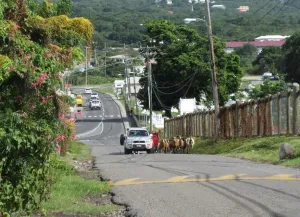 Charlestown, Saint Kitts and Nevis: Der vollständige Leitfaden für das Leben als Digitaler Nomade im Ausland