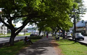 Georgetown, Guyana: Visum für digitale Nomaden und ein unkomplizierter Alltag