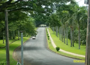 Lautoka, Fiji: Essenzielle Grundlagen für den Erfolg als Digitaler Nomade