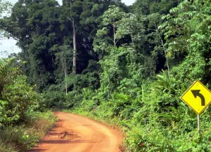 Linden, Guyana: Essenzielle Tipps für den Lifestyle als Digitaler Nomade