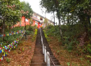 Pokhara, Nepal: Essenzielle Grundlagen für den Erfolg als Digitaler Nomade