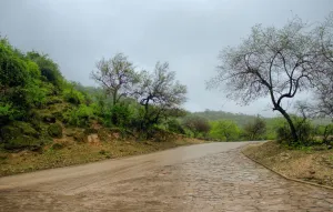 Salalah, Oman: Essenzielle Grundlagen für den Erfolg als Digitaler Nomade